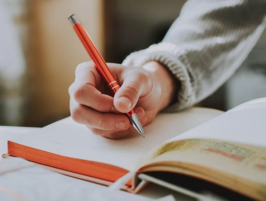 Best Fiction Writers